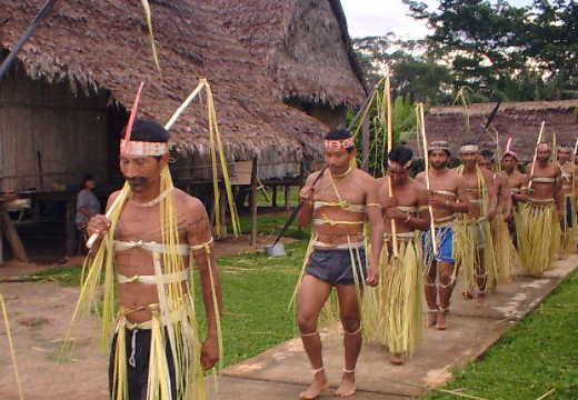 picture showing a procession of Matses men in the village