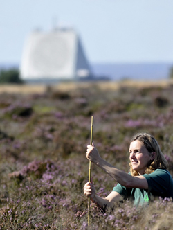 picture of scientist surveying moorland