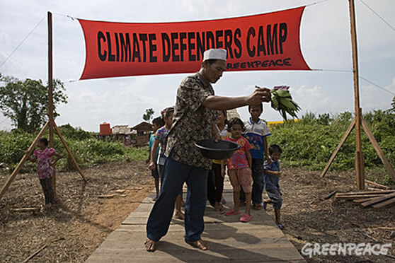 greenpeace campaigners in indonesia