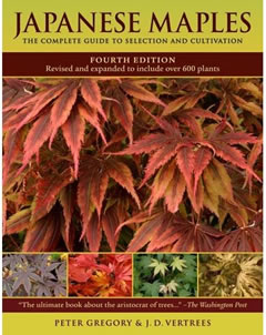 cover of Japanese Maples book