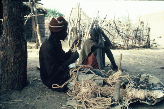 Making rope from the bark of the Baobab