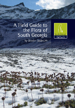 book cover showing snow and mountains in south georgia