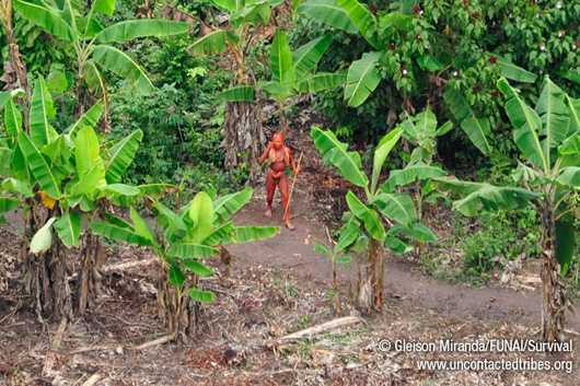 photograph of man covered in red dye in amazonian forest garden