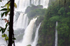 igiazu waterfall by dan ryan