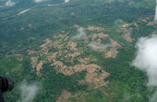Big chunks of destroyed rainforest can be seen where cocaine is being grown