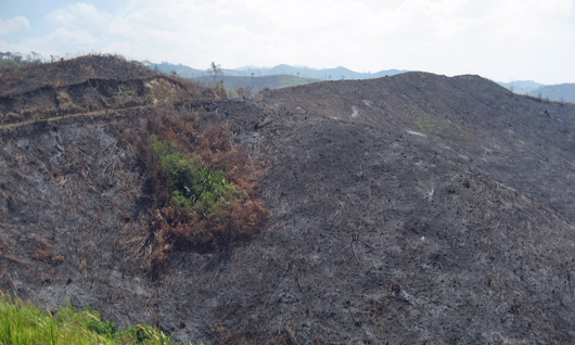 mountain in honduras that has been recently burnt for agriculture