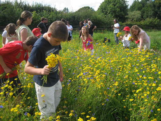 children in flower meadow