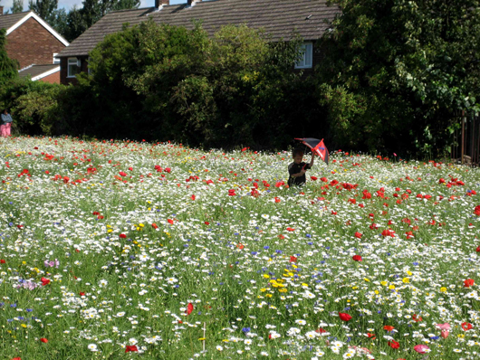 child in flower meadow with umbrella