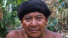 picture of a yanomami indian