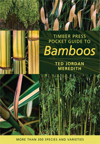 Coler of Pocket Guide to bamboos book