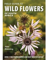 cover of wildflowers of south africa